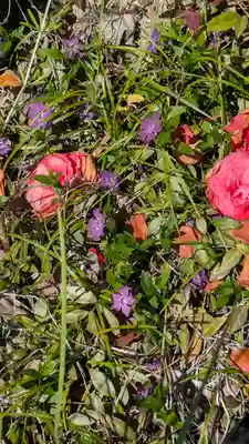 大乗寺(滋賀県)