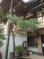 真行寺(埼玉県)