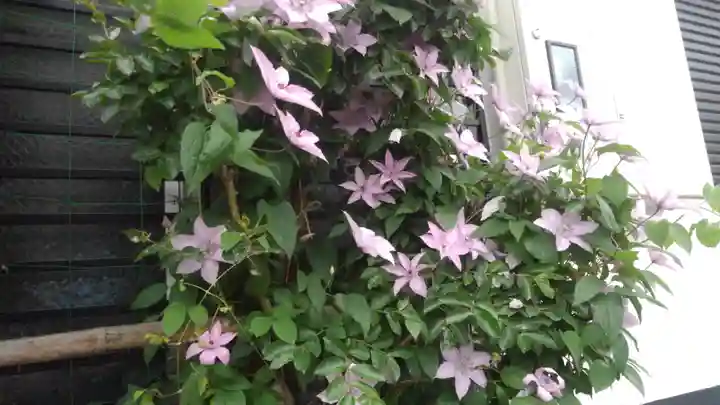 天龍寺(京都府)