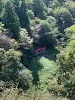 道明地蔵と慈母観音の自然