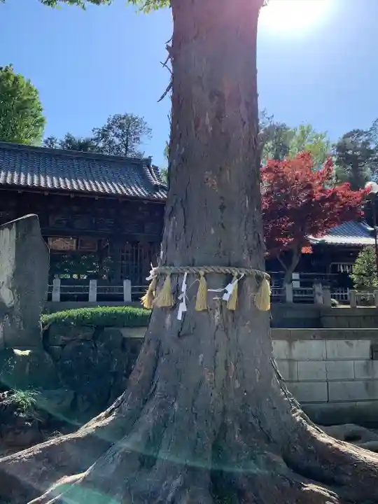 瀧宮神社(埼玉県)