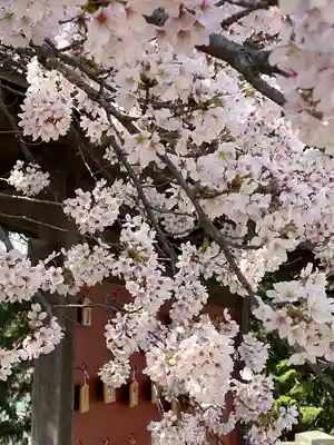富士浅間神社(群馬県)