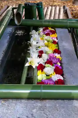 水無瀬神宮(大阪府)