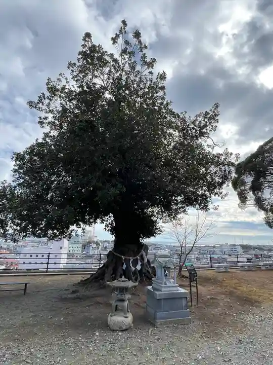 植田八幡神社(福島県)