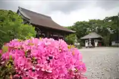 宝林寺(静岡県)