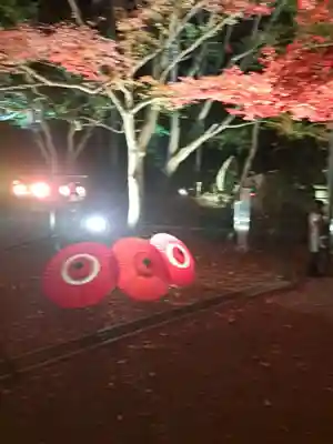 富貴寺(大分県)