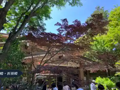 阿佐ヶ谷神明宮(東京都)