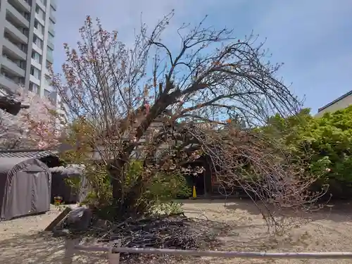 東海寺(東京都)