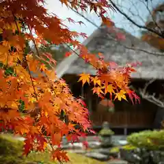 古峯神社の自然