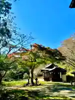 蚊里田八幡宮(長野県)