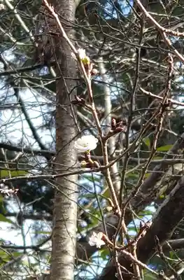 開成山大神宮(福島県)