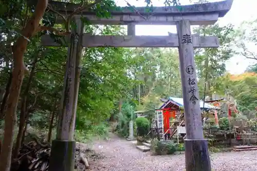 伏見稲荷大社の鳥居