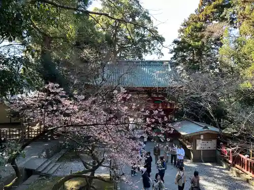 久能山東照宮(静岡県)