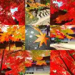 滑川神社 - 仕事と子どもの守り神の自然