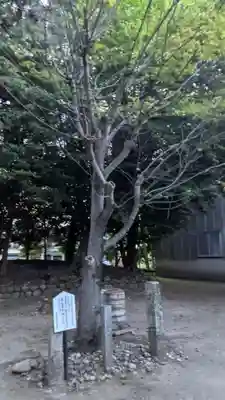 託美神社(愛知県)