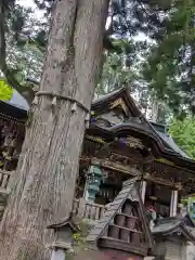 三峯神社(埼玉県)