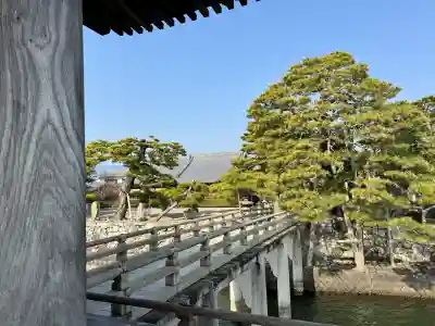 満月寺（浮御堂）の{uncategorized: "未分類", other: "その他", undefined: "問題あり", building: "その他建物", grave: "お墓", sacred_gate: "鳥居", guardian: "狛犬", statue: "像", buddha: "仏像", history: "歴史", nature: "自然", garden: "庭園", animal: "動物", pagoda: "塔", temizu: "手水舎", mountain_gate: "山門・神門", sanctuary: "本殿・本堂", subordinate: "末社・摂社", art: "芸術", scenery: "景色", jizo: "地蔵", ema: "絵馬", goshuin: "御朱印", omikuji: "おみくじ", items: "授与品その他", amulet: "お守り", goshuincho: "御朱印帳", eats: "食事", festival: "お祭り", votive_dance: "神楽", shichigosan: "七五三参", wedding: "結婚式", experience: "体験その他", initially: "初詣", around: "周辺", anti_infection: "感染症対策"}