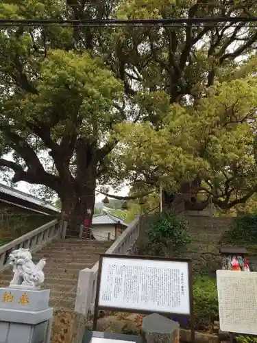 山王神社の自然
