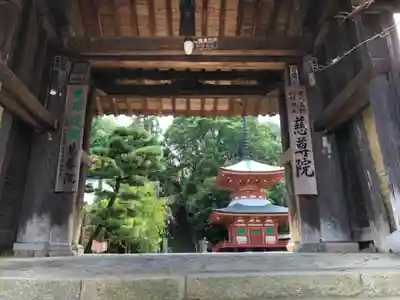 慈尊院の山門・神門