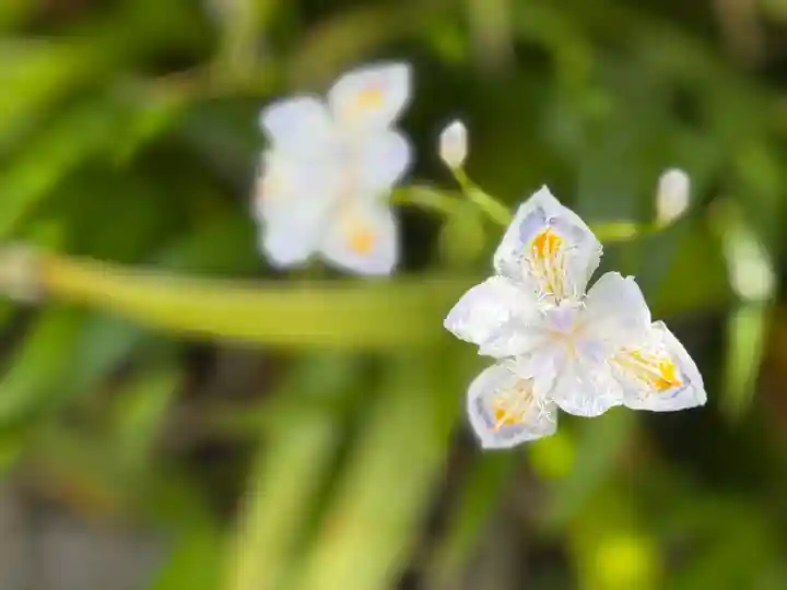 西方山極楽寺(岐阜県)