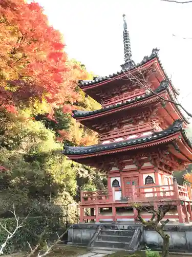 三室戸寺の塔