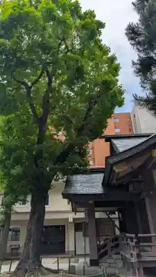 三吉神社の本殿・本堂