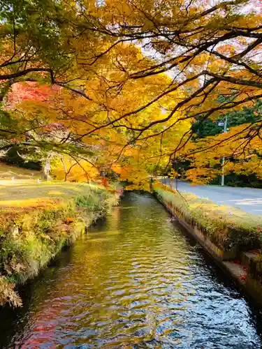 土津神社｜こどもと出世の神さまの建物その他