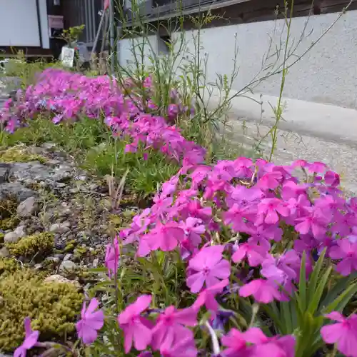 日蓮宗 総本山 塔頭 定林坊(じょうりんぼう)(山梨県)