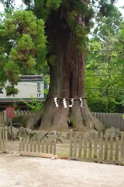 筑波山神社(茨城県)