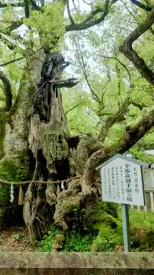 大山祇神社(愛媛県)