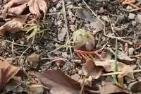 滑川神社 - 仕事と子どもの守り神の自然