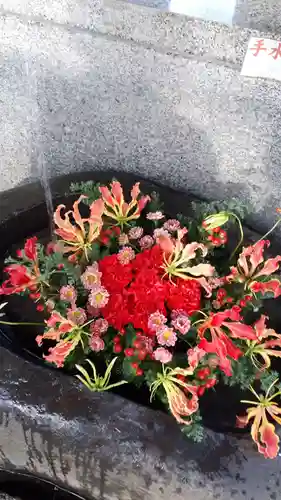 手稲神社(北海道)