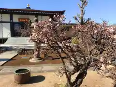 天暁山　一行院(東京都)