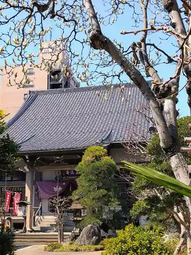 金勝寺の本殿・本堂