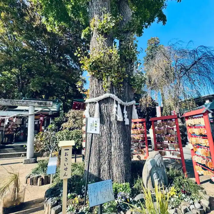 川越八幡宮(埼玉県)