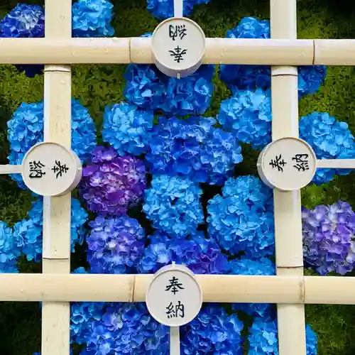 土津神社｜こどもと出世の神さまの手水舎