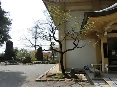 谷保天満宮のその他建物