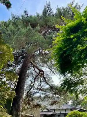 理性寺(東京都)