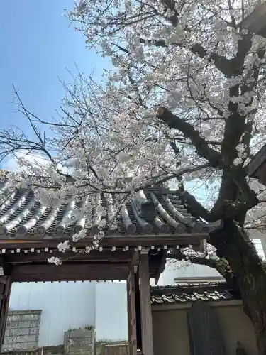 圓乗院(東京都)