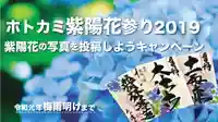 ホトカミ紫陽花参り2019！紫陽花の写真を投稿しよう