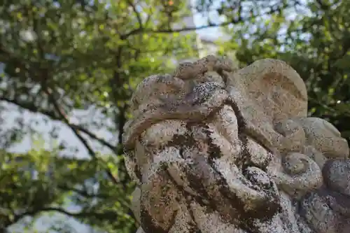 金刀比羅神社の狛犬