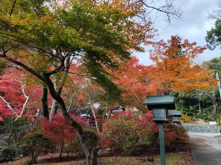 根来寺(和歌山県)