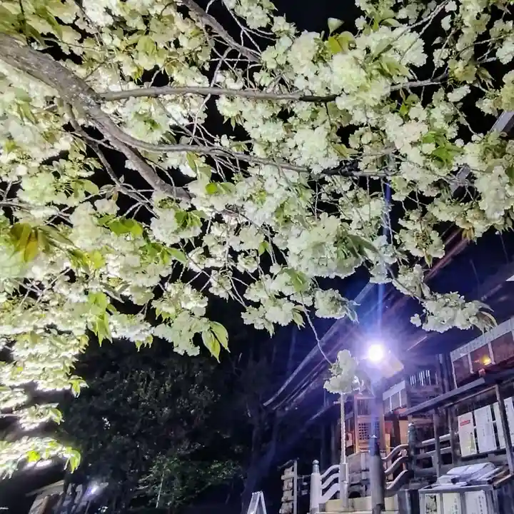上地八幡宮(愛知県)