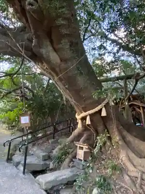 八大龍王水神(宮崎県)