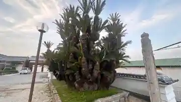 妙泉寺(兵庫県)