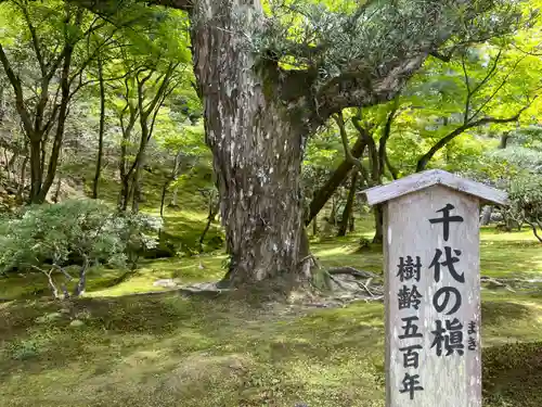 慈照寺（慈照禅寺・銀閣寺）の庭園