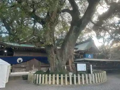 春日神社の{uncategorized: "未分類", other: "その他", undefined: "問題あり", building: "その他建物", grave: "お墓", sacred_gate: "鳥居", guardian: "狛犬", statue: "像", buddha: "仏像", history: "歴史", nature: "自然", garden: "庭園", animal: "動物", pagoda: "塔", temizu: "手水舎", mountain_gate: "山門・神門", sanctuary: "本殿・本堂", subordinate: "末社・摂社", art: "芸術", scenery: "景色", jizo: "地蔵", ema: "絵馬", goshuin: "御朱印", omikuji: "おみくじ", items: "授与品その他", amulet: "お守り", goshuincho: "御朱印帳", eats: "食事", festival: "お祭り", votive_dance: "神楽", shichigosan: "七五三参", wedding: "結婚式", experience: "体験その他", initially: "初詣", around: "周辺", anti_infection: "感染症対策"}