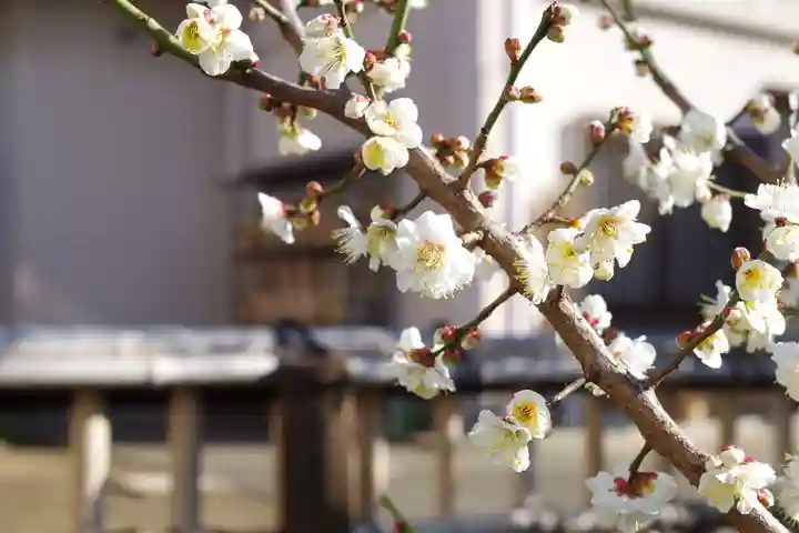 福王山 慈眼寺(東京都)