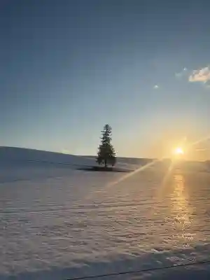 美瑛神社の周辺