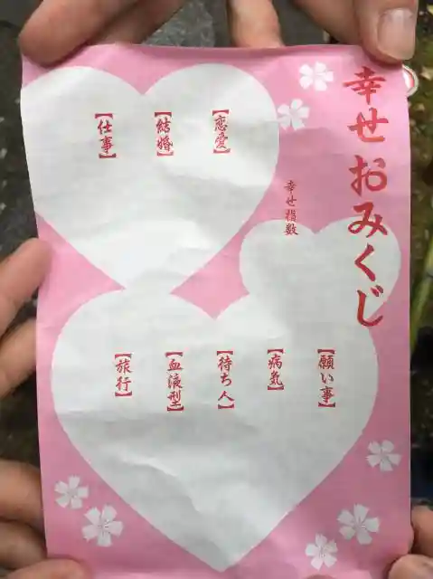 新しいおみくじの本 何時でも何処でもひけるおみくじの手引き